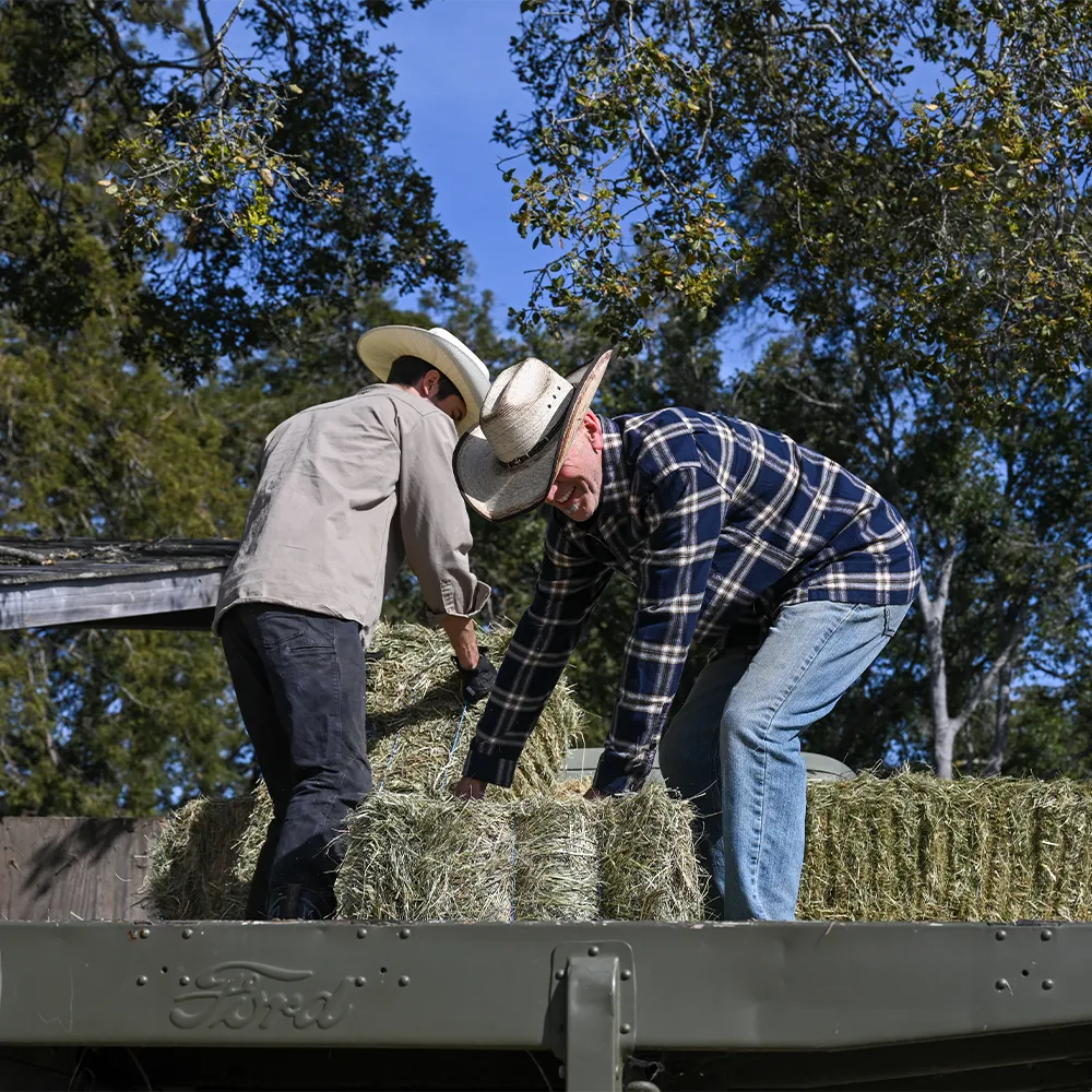 Lucas | Mens Mexican Palm Cowboy Hat