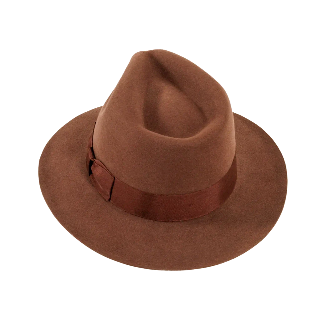 A rear view of a adventure brown fedora hat