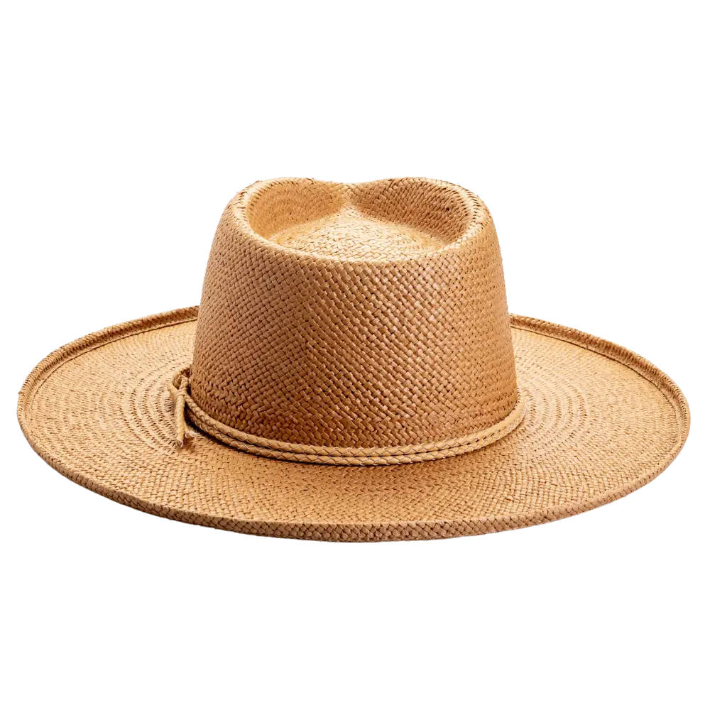 Bailey Tea Sun Straw Hat Back View