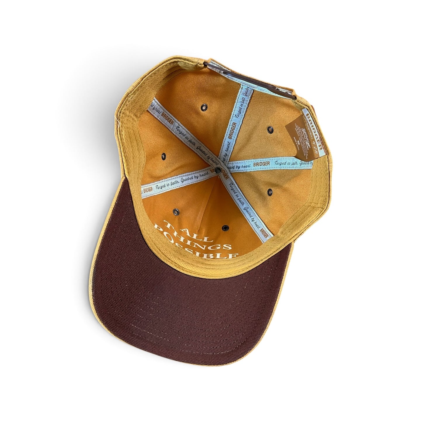 Carpenter | Ball Cap