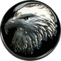 eagle head magnetic hat pin